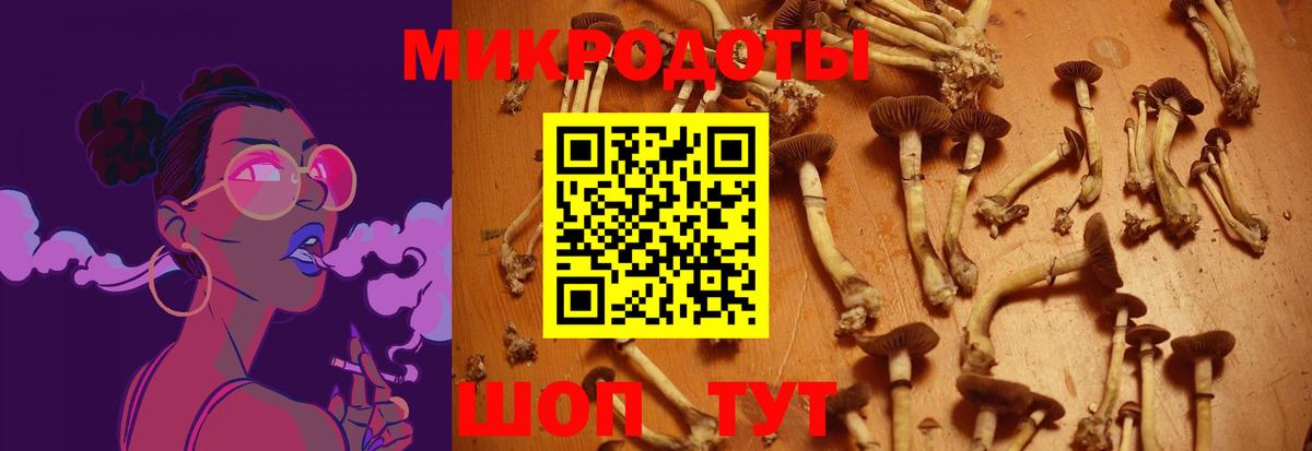 Канабис  Иваново  Меф   ГАШ  Вход с VPN 